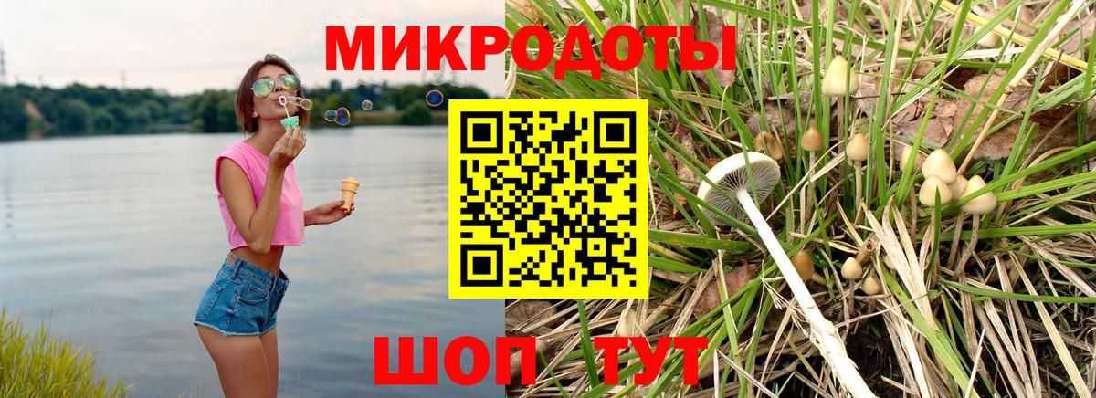 Советский  Псилоцибиновые грибы Psilocybine cubensis  Вход с VPN 