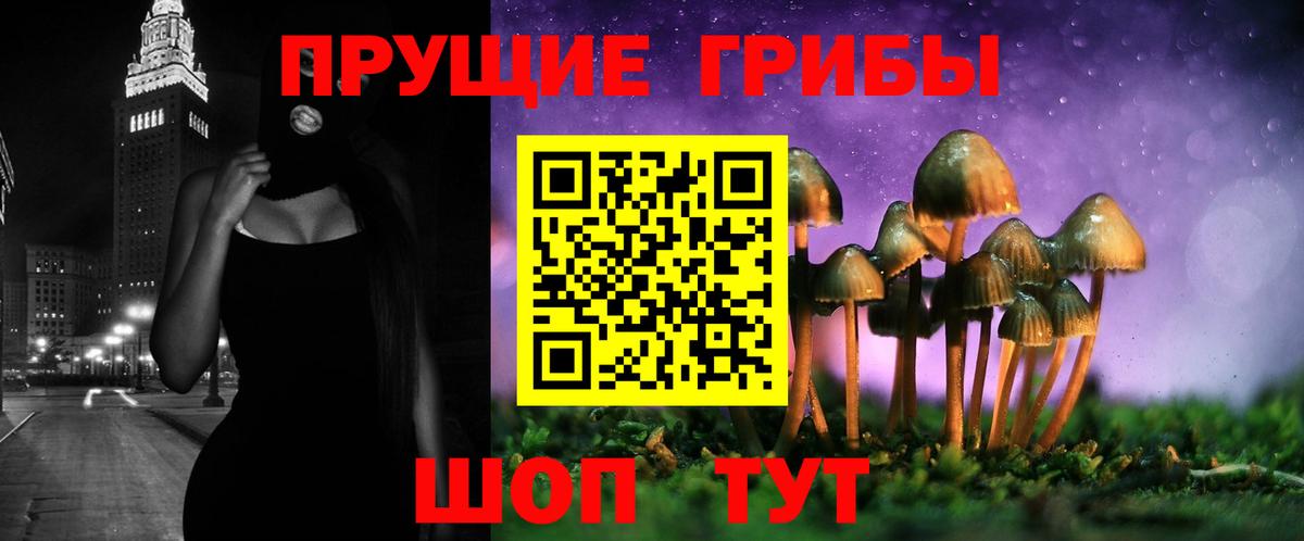 Галлюциногенные грибы GOLDEN TEACHER Советский