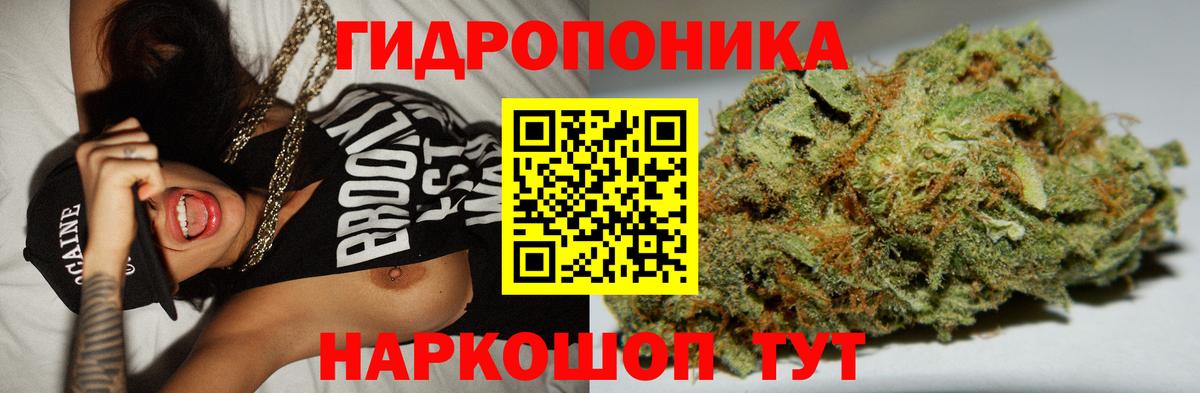 Конопля план Советский